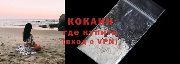 меф Ельня
