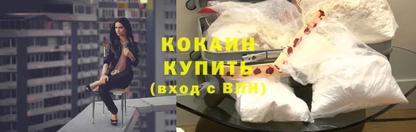 мдпв Елизово