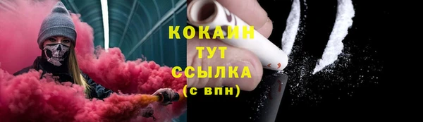 меф Ельня