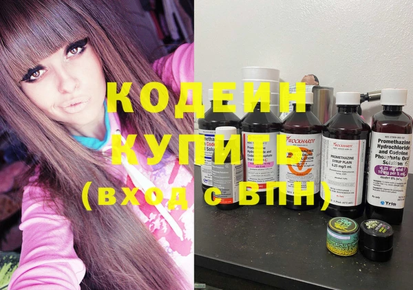 мдпв Елизово