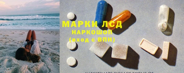 меф Ельня
