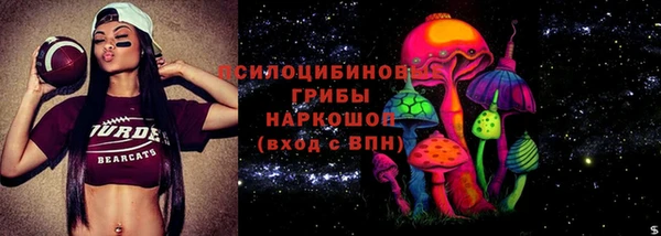 мдпв Елизово