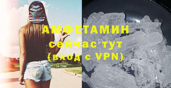 меф Ельня